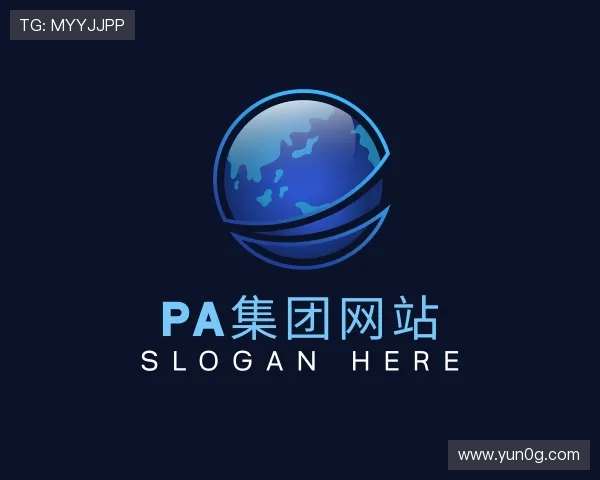 认识PA集团